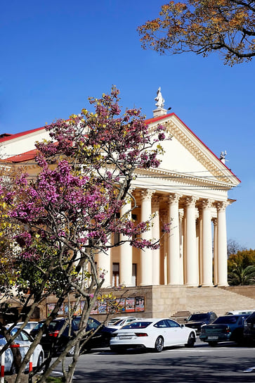 Центральный портик здания завершает фронтон