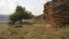 Памятник природы «Гора Голубиная» стал охраняемым