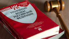Жительницу Ставрополя приговорили к 19 годам за попытку теракта и госизмену
