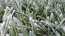 Ставрополье на четыре дня накроют заморозки до -5°С