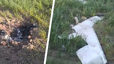 В Ставропольском крае нашли фрагменты упавшего БПЛА