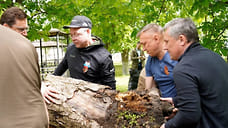 Более 15 тысяч человек приняли участие в субботнике в Кочубеевском округе
