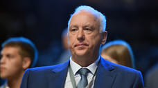 Глава СКР отреагировал на факт нападения на Ставрополье собаки на школьницу