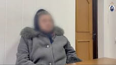 Ставропольский суд вынес приговор владелице собак, загрызших 9-летнюю девочку