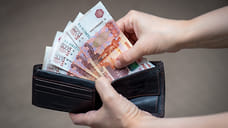 Жительнице Владикавказа грозит до пяти лет за кражу кошелька