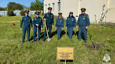 Спасатели Ставрополья заложили аллею к 100-летию пожарной службы