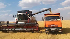 Ставрополье приступило к жатве на площади 2,2 млн гектаров