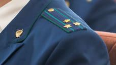 Замначальника Управления ОКН Ставрополья уволили за поддержку бизнеса жены