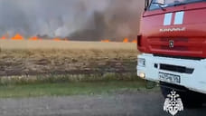 На Ставрополье на 120 гектарах горит поле с пшеницей