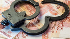 Директора фирмы в Буденновске подозревают в сокрытии от налогов 28 млн рублей