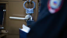 Жителя Ставрополья приговорили к 8,5 годам колонии за хищение 150 млн рублей