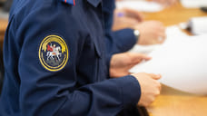 Бастрыкин поручил возбудить дело об избиении школьницы в Светлограде