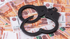 В Ставрополе директор сельхозфирмы скрыл от налоговой более 10 млн рублей