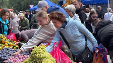 В Невинномысске прошла крупнейшая на юге России Покровская ярмарка