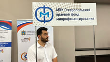 Ставки  микрофинансирования МСП на Ставрополье останутся на уровне от 1%