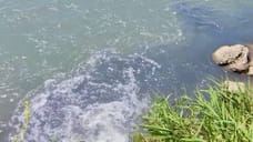 Прокуратура обязала власти Невинномысска отчистить Кубань от сточных вод