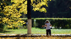 Дагестан вошел в тройку лидеров по снижению количества детей-сирот