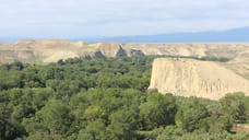 В Дагестане создадут природный заказник «Рубасский» более чем на 900 га