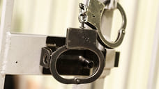 Пятерых жителей Ставрополья обвинили в нападении на полицейских