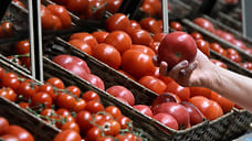В Ставрополе стоимость помидоров превысила 180 рублей за килограмм