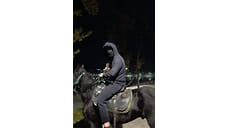 В Кисловодске суд отправил под арест всадника за удар женщины плеткой