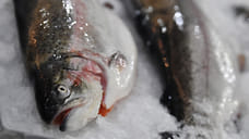 Производство рыбы в Дагестане выросло на 12%