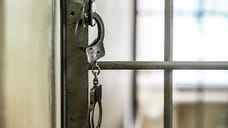 Жительницу Владикавказа задержали по подозрению в участии в экстремистской организации