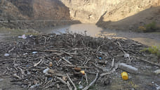 Бастрыкин потребовал доложить о загрязнении реки Андийское Койсу в Дагестане