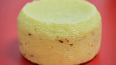 Производство сыров на Ставрополье в 2025 году выросло на четверть