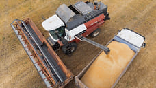 Сбор зерновых на Ставрополье в 2025 году вырос на 23%