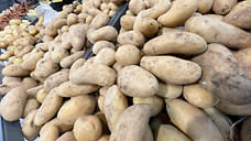 Урожайность картофеля в Ставропольском крае выросла на 2,3 центнера с гектара