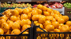 В Минеральных водах выявили 17 случаев заражения импортной продукции карантинными вредителями