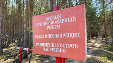 Заброшенные сады на площади 1,6 га в селе Прикумское признали пожароопасными