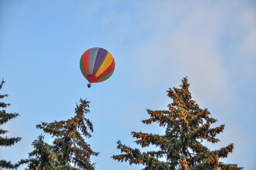 Также во время фестиваля проведут конкурсы, шоу-программы, мастер-классы, спортивные мероприятия и ярмарки