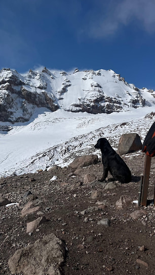 «Настоящая победа — не подняться, а вернуться живым, сохранив себя и уважение к этой силе»,— из дневника альпиниста
