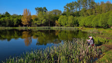 Пруд признали федеральным