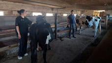 Соцконтракты на Ставрополье помогают семьям быть и развиваться