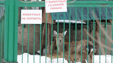 Уфа не нуждается в «Саванне»