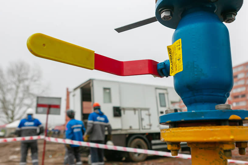 Газификация завода "Тавроса" по переработке гороха не пригодилась из-за санкций