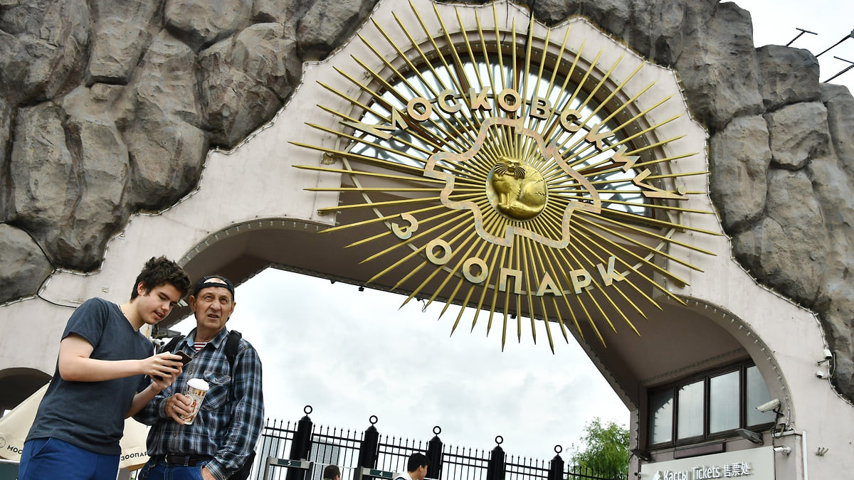 977 дней спустя