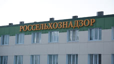 Сотрудников Россельхознадзора привлекли к ответственности после вспышки птичьего гриппа