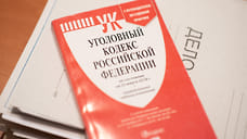 Бастрыкин затребовал доклад об убийстве младенца в Башкирии