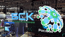 Владимир Путин исключил БСК из перечня стратегических предприятий