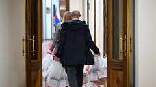 Администрация главы Башкирии приобретет цветы и траурные венки за 20 млн рублей
