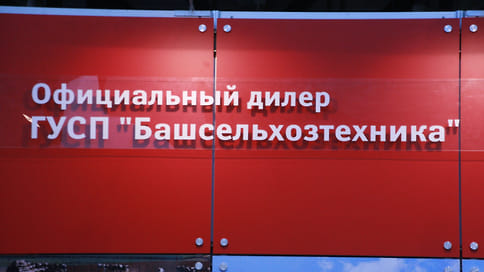 Правительство Башкирии намерено приватизировать две компании