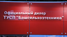 Правительство Башкирии намерено приватизировать две компании