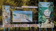 Минтранс Башкирии пытается оспорить решение УФАС по делу о поездке в Абхазию