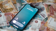 В Уфе задержали подозреваемого в работе на телефонных мошенников