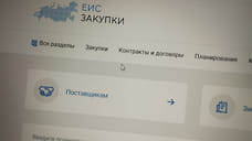 На подсветку путепровода на проспекте Юлаева в Уфе выделят до 32 млн рублей