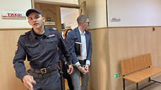 ВС Башкирии смягчил приговор экс-главе Центра науки Башкирии